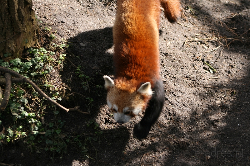 IMG_0685.jpg