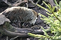 IMG_0695