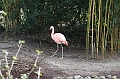 IMG_0702
