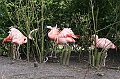 IMG_0704