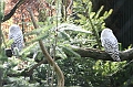 IMG_0717
