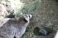 IMG_0719