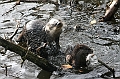 IMG_0727