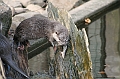 IMG_0735