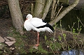 IMG_0738