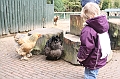 IMG_0744