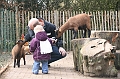 IMG_0751