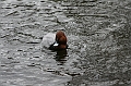 IMG_0756