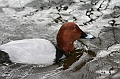 IMG_0758