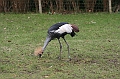 IMG_0759