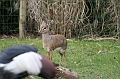 IMG_0760