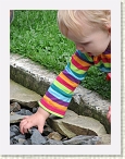 IMG_0316 * 2112 x 2816 * (1.84MB)