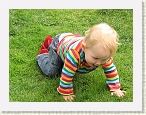 IMG_0320 * 2816 x 2112 * (2.7MB)