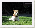 IMG_0323 * 2816 x 2112 * (1.66MB)