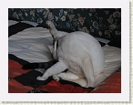 IMG_0328 * 2816 x 2112 * (1.59MB)