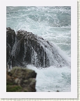 IMG_0513 * 2112 x 2816 * (1.62MB)