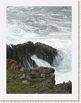 IMG_0517 * 2112 x 2816 * (2.25MB)