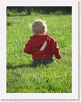 IMG_0567 * 2112 x 2816 * (2.08MB)