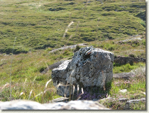Volgende foto