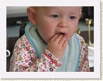 IMG_0575 * 2816 x 2112 * (1.7MB)