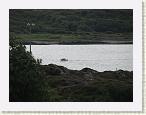 IMG_0599 * 2816 x 2112 * (1.48MB)
