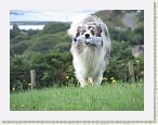 IMG_0613 * 2816 x 2112 * (1.61MB)
