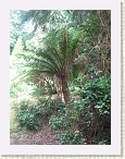 IMG_0721 * 2112 x 2816 * (3.05MB)