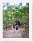 IMG_0726 * 2112 x 2816 * (2.8MB)