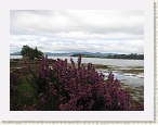 IMG_0748 * 2816 x 2112 * (1.32MB)