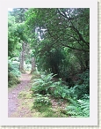 IMG_0751 * 2112 x 2816 * (3.2MB)