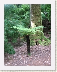 IMG_0752 * 2112 x 2816 * (3.06MB)