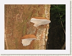 IMG_0755 * 2816 x 2112 * (2.19MB)