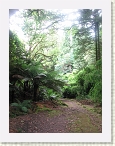 IMG_0756 * 2112 x 2816 * (2.58MB)