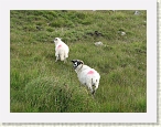 IMG_0804 * 2816 x 2112 * (3.0MB)