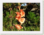 IMG_1031 * 2816 x 2112 * (1.84MB)