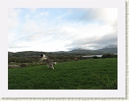 IMG_1059 * 2816 x 2112 * (1.59MB)