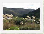 IMG_1394 * 2272 x 1704 * (1.42MB)