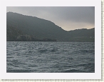 IMG_1555 * 2272 x 1704 * (1.3MB)