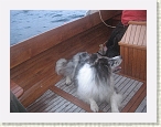 IMG_1592 * 1600 x 1200 * (862KB)