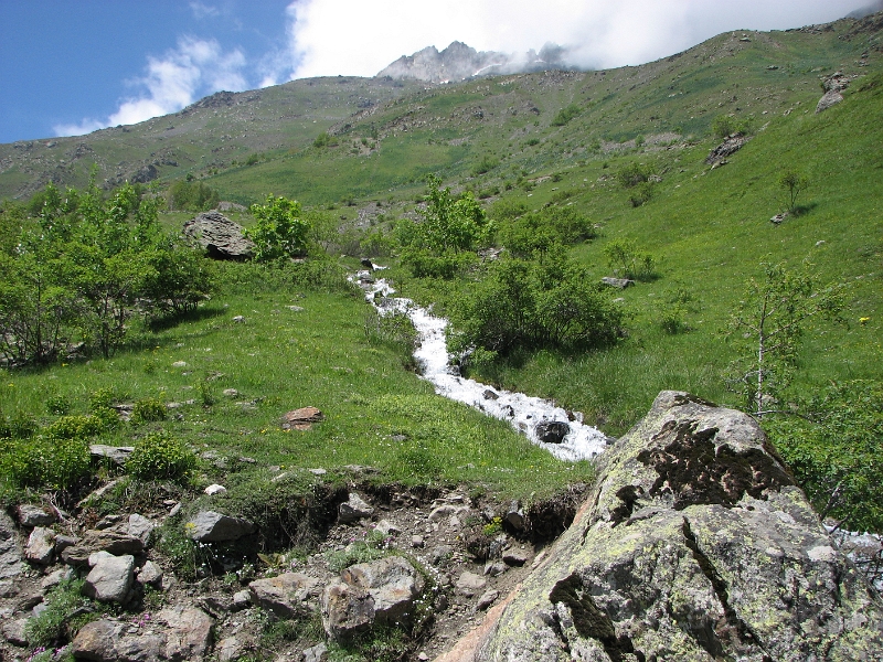 IMG_2969.jpg