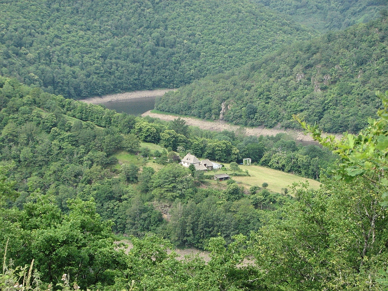 IMG_4337.JPG