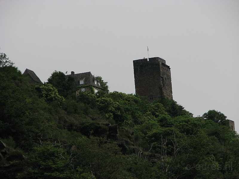 IMG_4341.JPG
