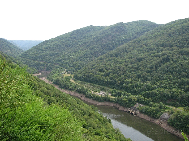 IMG_4342.JPG