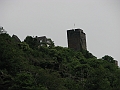 IMG_4341