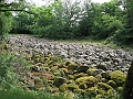IMG_4349