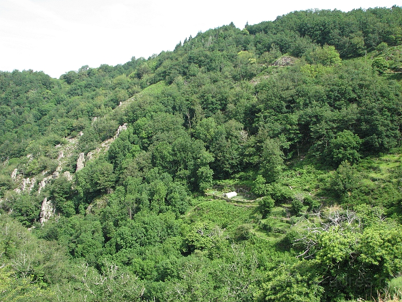 IMG_4361.JPG