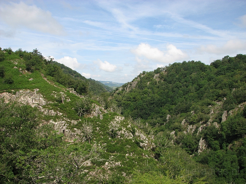 IMG_4362.JPG