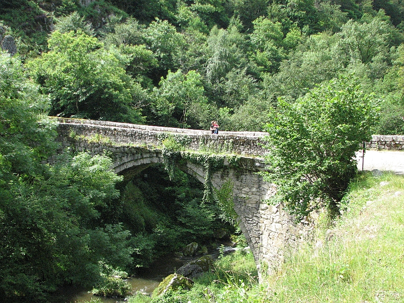 IMG_4375.JPG