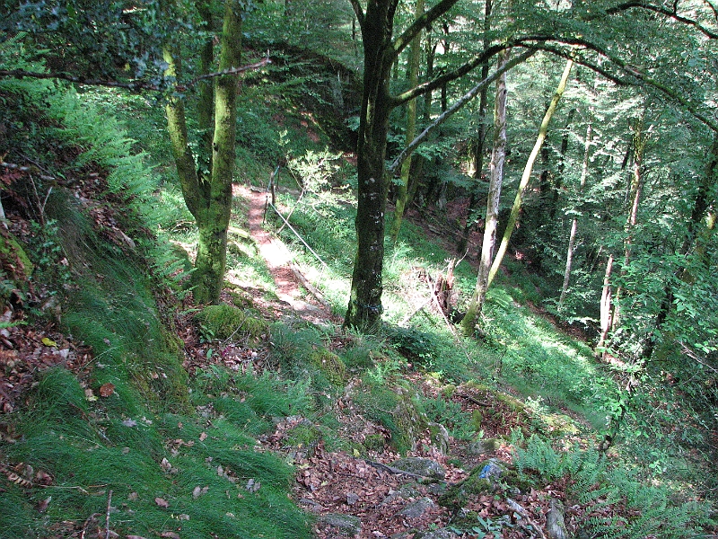 IMG_4387.JPG