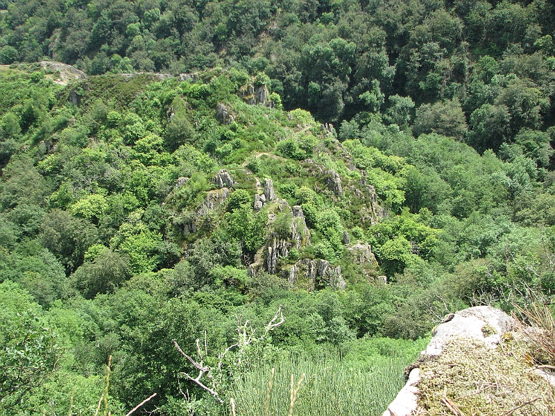 IMG_4398.JPG